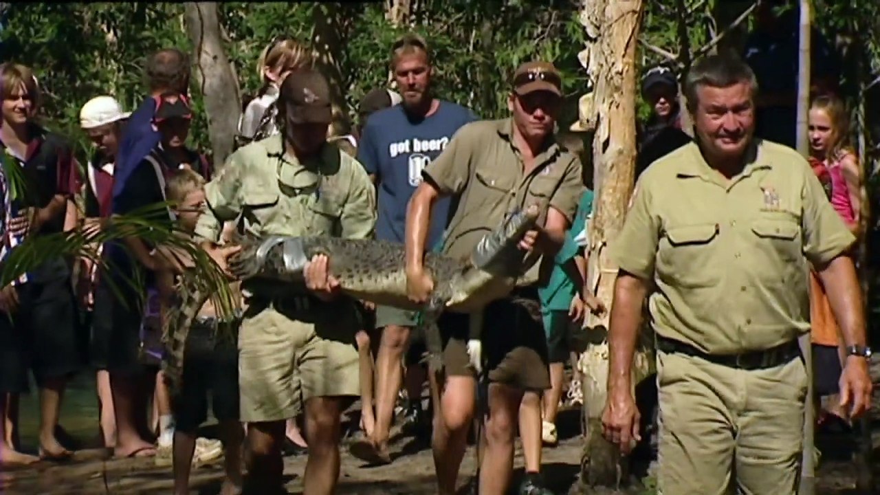 Crocodile culling debate in the Northern Territory has reignited