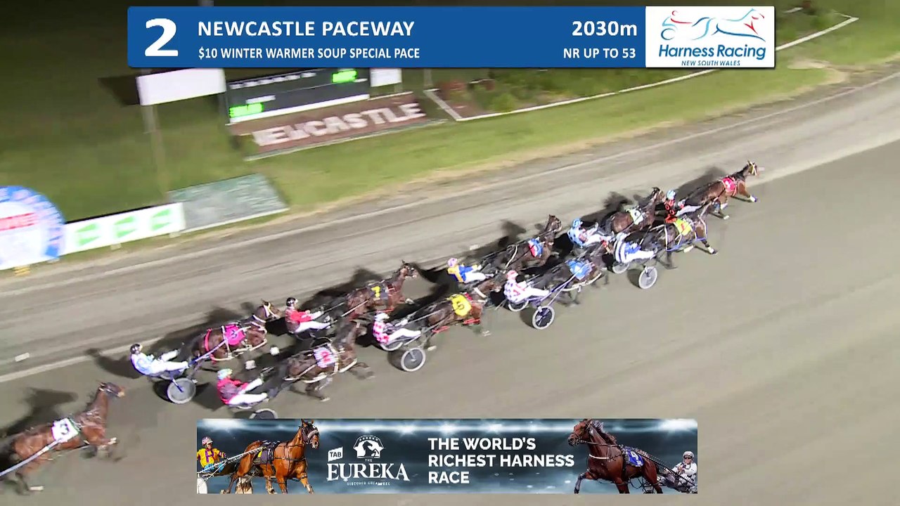 Heavenly Sign wins at Newcastle Paceway | July 7, 2023 | Newcastle Herald