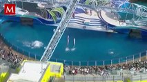 La historia de Tilikum: la orca en cautiverio que mató a su entrenadora