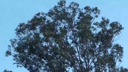 tn7-clima-120723