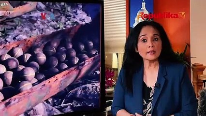 Kontroversi Pengiriman Bom Klaster AS untuk Ukraina