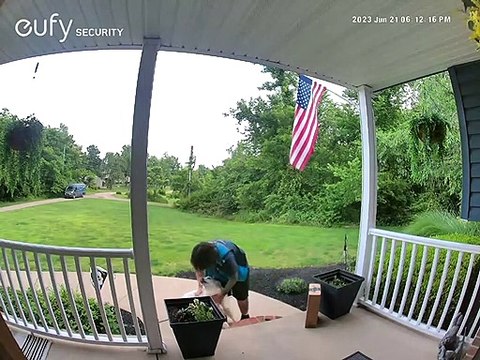 Amazon Delivery Person Pets Friendly Golden Retriever