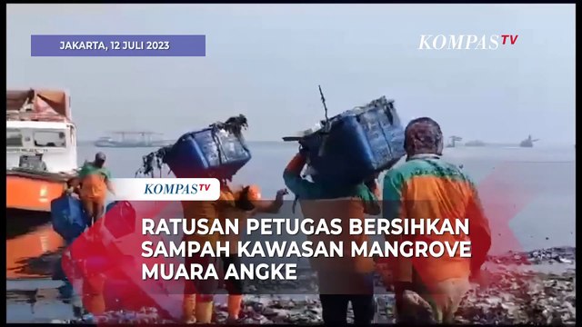 Sampah Menumpuk di Pantai Mangrove Muara Angke Hingga 3 Km, Ratusan Petugas Turun Tangan