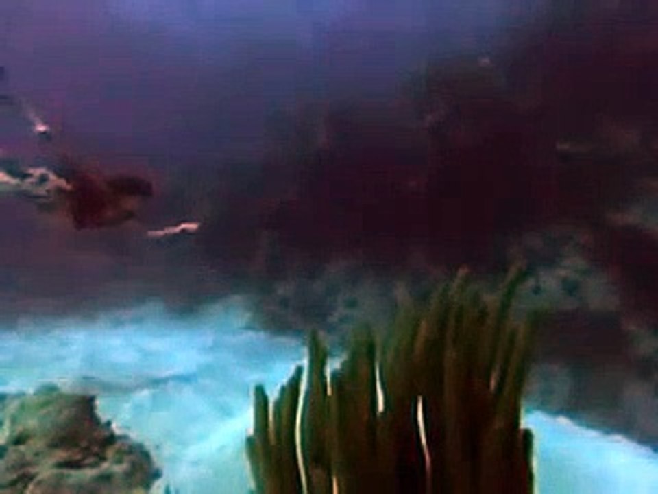 Dans les profondeurs du triangle des Bermudes Bande-annonce (EN)