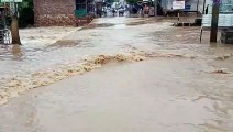 राजस्थान के इस जिले में नदी नाले उफान पर घरों में घुसा पानी, देखें वीडियो