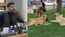 Sokak köpeğinin saldırısına uğrayıp kuduz olan genç mimar öldü
