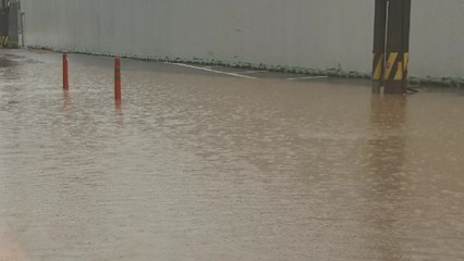 수도권 전역 호우특보...이틀 최고 250mm '물폭탄' / YTN