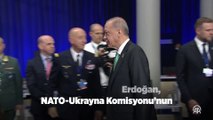 Cumhurbaşkanı Erdoğan, NATO-Ukrayna Komisyonu'nun Devlet ve Hükümet Başkanları Toplantısı'na katıldı