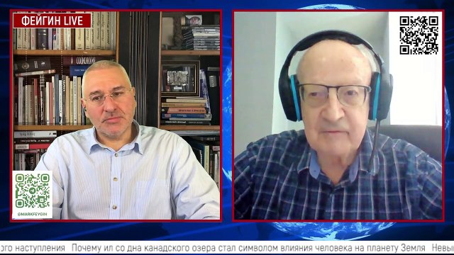 Андрей Пионтковский. Союзники или Партнёры