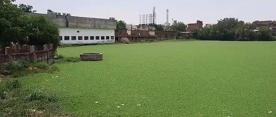 घास का मैदान नजर आ रही सांतरी तलैया