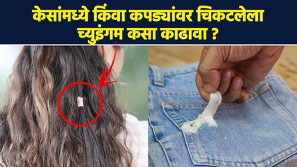 केसांमध्ये किंवा कपड्यांवरचा च्युइंगम निघेल 1 मिनिटांत | How To Get Rid Of Chewing Gum | RI3