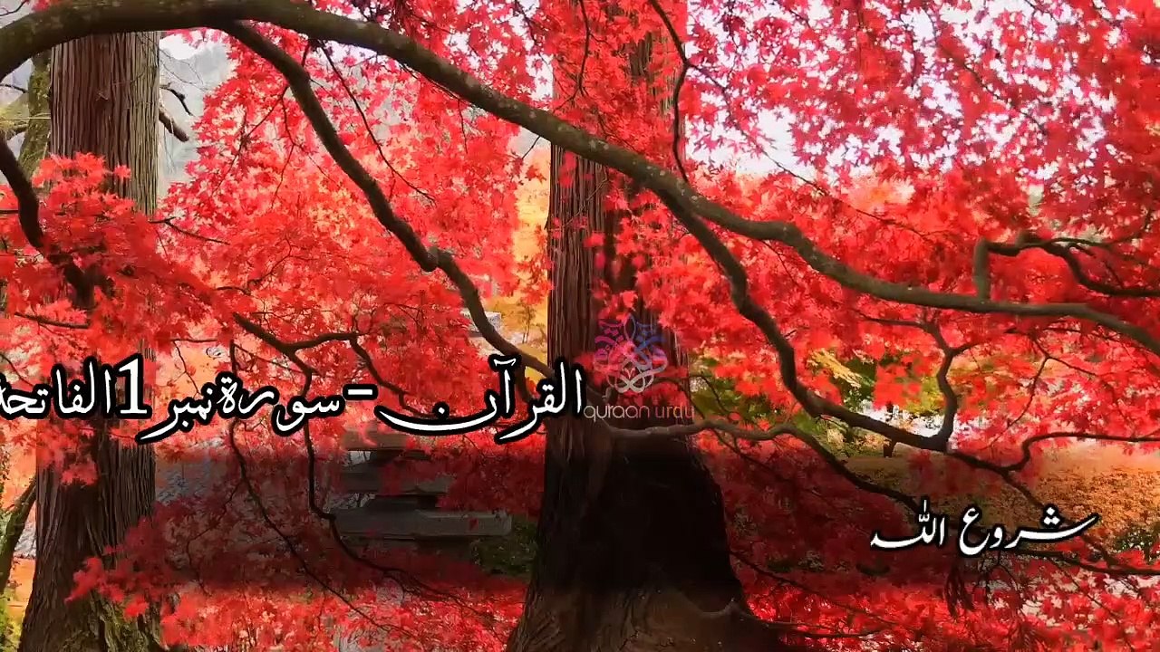Surah Al Fattiha_quran urdu whatsapp status_ quran tilawat_ urdu islamic whatsap