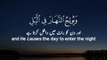 Surah Al Fatir _ Ayah 13 _ Quran whatsapp status _ quran urdu _ quran recitation