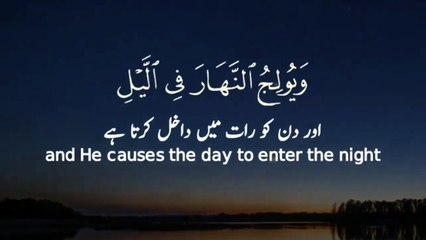 Surah Al Fatir _ Ayah 13 _ Quran whatsapp status _ quran urdu _ quran recitation