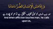 Surah Al Hadeed _ Ayah 16 _ Quran Urdu Whatsapp Status _ Urdu Whatsapp Status _