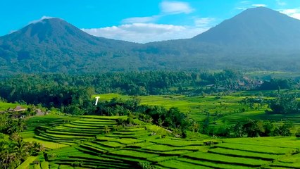 Cara Budidaya Maggot Sederhana Untuk Pemula. Peluang Usaha Agrobisnis Potensial yang Wajib Anda Coba