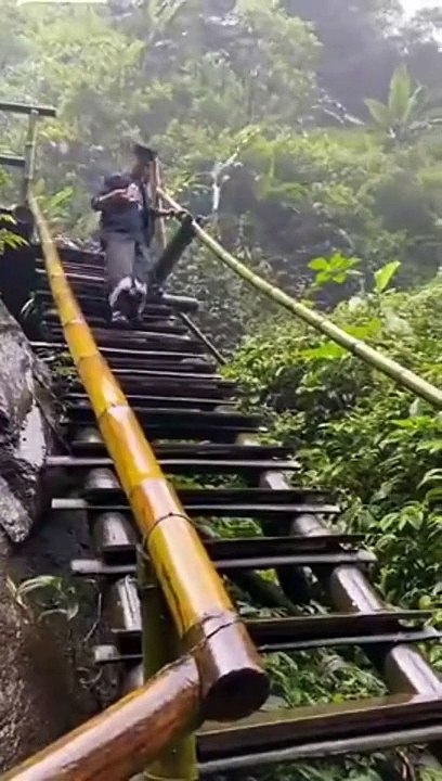 Des escaliers très glissants mais un joli réflexe