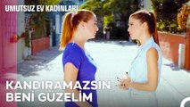 Hepimiz Aynı Gemideyiz, Kapiş! - Umutsuz Ev Kadınları 41. Bölüm