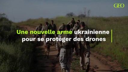 Une nouvelle arme ukrainienne pour se protéger des drones