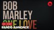 BOB MARLEY : ONE LOVE de Reinaldo Marcus Green avec Kingsley Ben-Adir, Lashana Lynch, Michael Gandolfini : bande-annonce [HD-VOST] | 10 janvier 2024 en salle