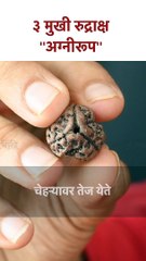 ३ मुखी रुद्राक्ष  ''अग्नीरूप'' Benefits of wearing 3 Mukhi Rudraksha | Astro Tips | SG5