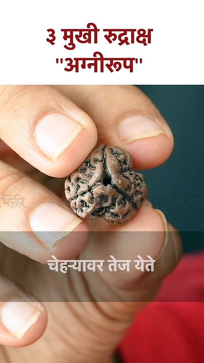 ३ मुखी रुद्राक्ष  ''अग्नीरूप'' Benefits of wearing 3 Mukhi Rudraksha | Astro Tips | SG5