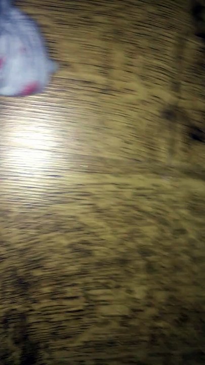 Crazy Cat rampe sous le lit
