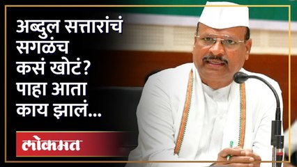 कृषिमंत्री अब्दुल सत्तारांवर गुन्हा दाखल, प्रतिज्ञापत्रात दिली खोटी माहिती