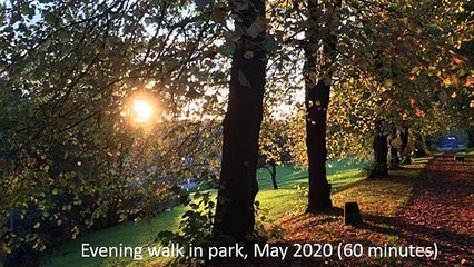 sound series 3 - evening walk in park (1) - 60 mins
