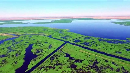 Le lac Wuliangsu en Chine abrite plus de 260 espèces d'oiseaux