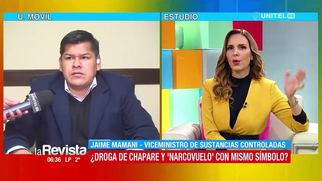 El viceministro Mamani informar sobre los operativos antidroga y el caso del narcovuelo