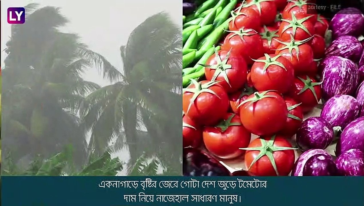 Tomato Price Hike: সুনীল শেট্টির রান্নাঘরেও প্রভাব পড়ল মূল্যবৃদ্ধির
