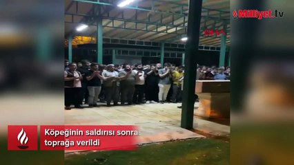 Köpeğinin saldırısı sonrası kuduzdan ölen mimar, toprağa verildi