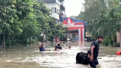 Hindistan’da muson kabusu