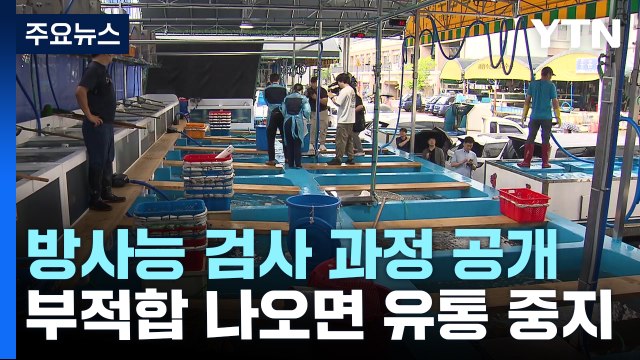 수산물 방사능 검사 과정 공개... 부적합 시 유통중단 / YTN
