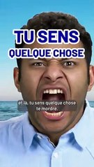 Attention aux poissons MORDEURS ! 