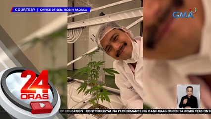 Paggamit ng "medical marijuana" para sa ilang sakit, isinusulong ni Sen. Padilla | 24 Oras