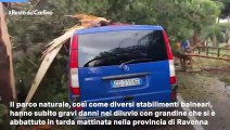 Nubifragio e tromba d'aria colpiscono Cervia e Milano Marittima: alberi caduti e strade allagate