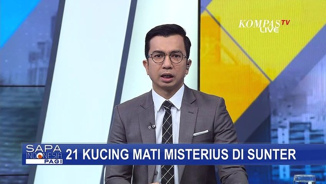 Kejang-Kejang, 21 Kucing Peliharaan & Liar Mati Misterius di Sunter!