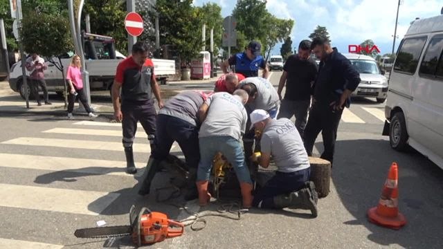Ordu'da Şiddetli Yağış Sonrası Kanalizasyon Tıkanıklığı