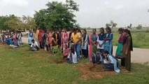 पत्रिका के हरियालो राजस्थान अभियान के तहत सोरड़ा के रा बालिका उमावि परिसर में लगाए 51 पौधे