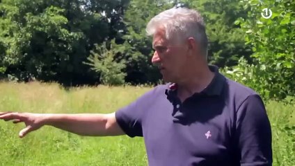 Svjedok (Dokumentarni film)