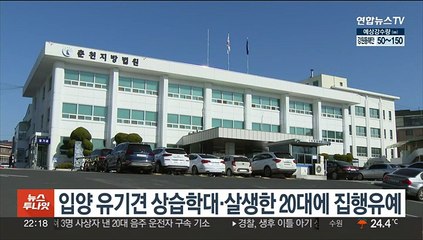 입양 유기견 상습학대·살생한 20대에 집행유예 선처