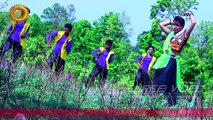 Tor Jhumka Hilo Dolo _ तोर झुमका हिलो डोलो _ New Nagpuri Song 2017 _ Dinesh Sonwani _ Shree Video