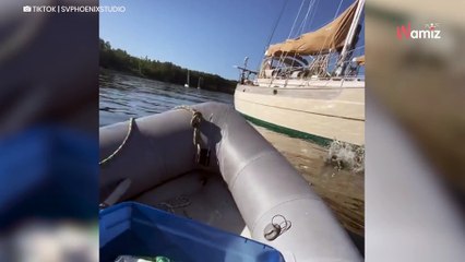 Ce chat qui vit sur un voilier commet une erreur qui affole internet (vidéo)