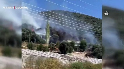 Antalya'nın Kaş ilçesinde makilik alanda yangın