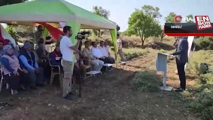 Denizli Kekiğinde hasat zamanı