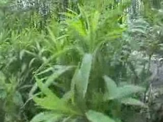 un dimanche entre potes