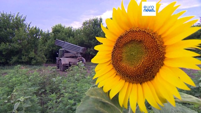 Ucraina: più armi, più in fretta