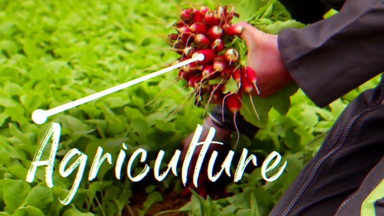 Cette semaine le magazine Voyons Voir s'intéresse aux festivals en Région Auvergne- Rhône-Alpes.